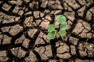 satellite tech for farmer 