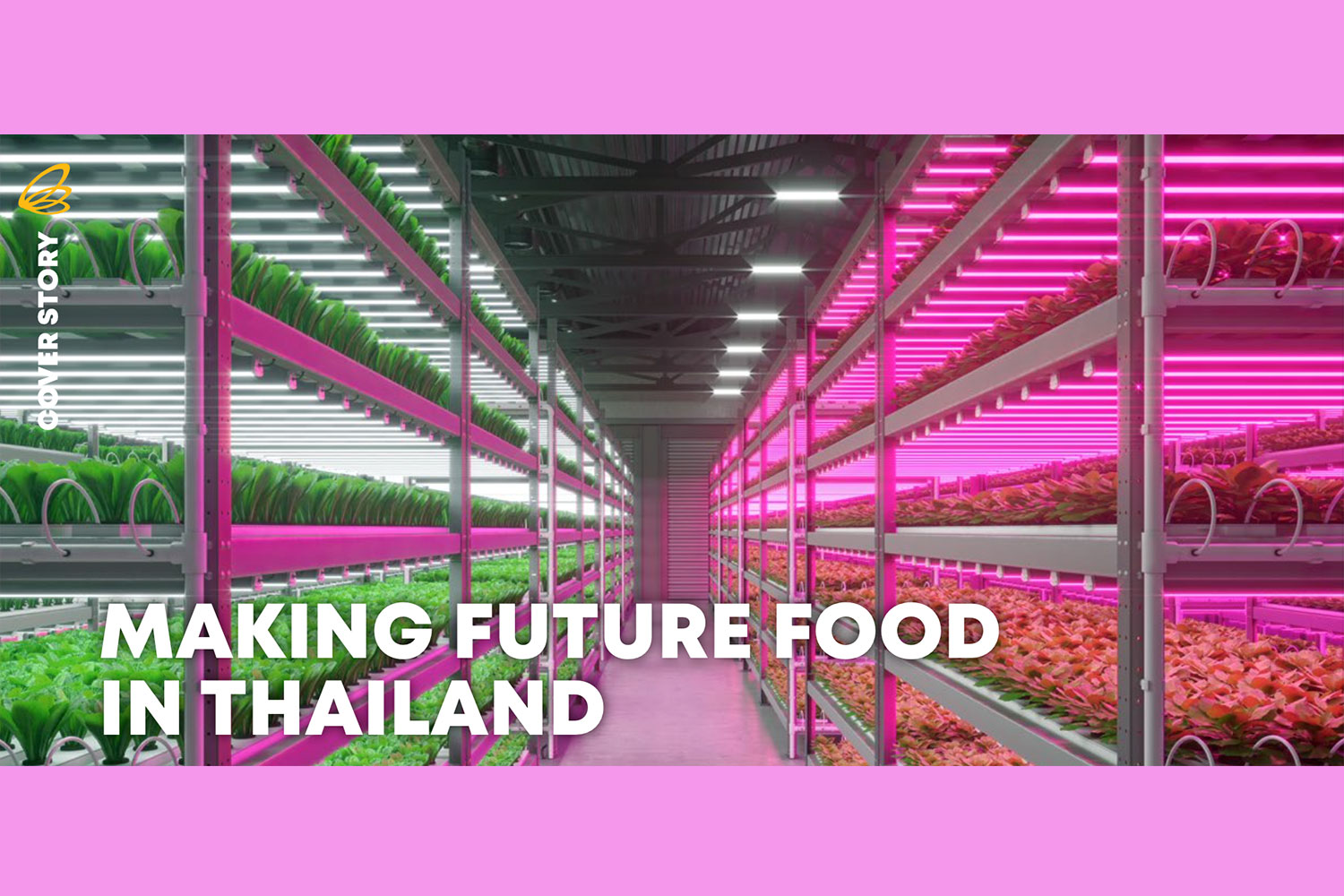 MAKING FUTURE FOOD IN THAILAND